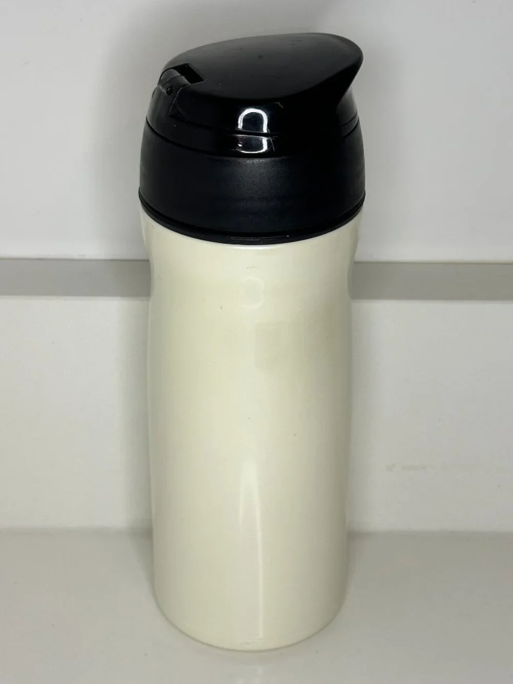 Tea Forté Insulated Travel Thermos Bottle With Tea Infuser